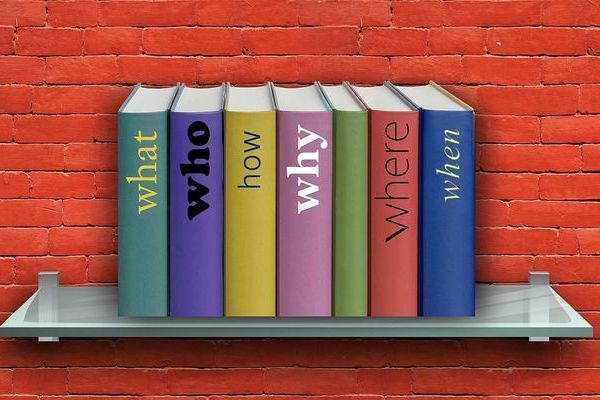 Maßnahmenbeschreibung und Chronologie